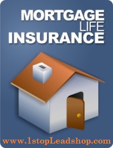 Mortgage Life Insurance, Mortgage Protection Insurance